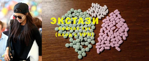 ECSTASY Богородицк